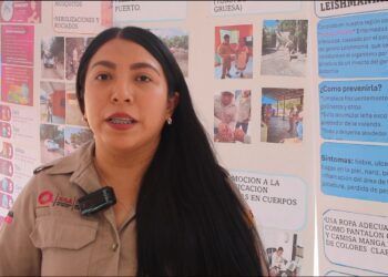 Detectan aumento de picaduras de mosca chiclera en zonas húmedas de Quintana Roo