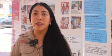 Detectan aumento de picaduras de mosca chiclera en zonas húmedas de Quintana Roo