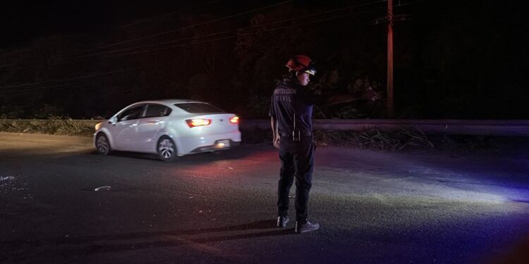 Tragedia en la carretera 307: mujer fallece tras ser embestida en la entrada de Tulum