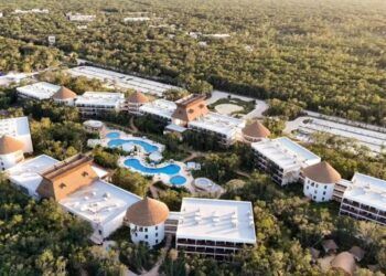 Plaga de escarabajo barrenador compromete la seguridad del Hotel Mundo Maya Tulum