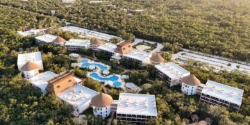 Plaga de escarabajo barrenador compromete la seguridad del Hotel Mundo Maya Tulum