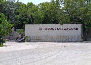 Denuncian Despidos Injustificados en el Parque del Jaguar en Tulum