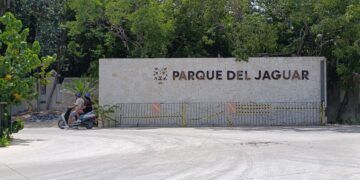 Denuncian Despidos Injustificados en el Parque del Jaguar en Tulum