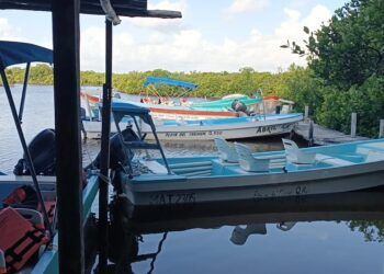 Pescadores de Punta Allen en Crisis por Bajos Precios de la Langosta