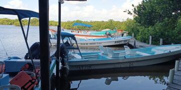 Pescadores de Punta Allen en Crisis por Bajos Precios de la Langosta