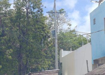 CFE Inicia Plan Piloto de Electrificación en Colonias Irregulares de Tulum