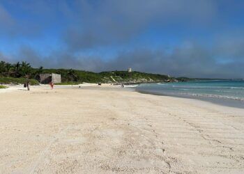 Tres playas de Tulum recibieron certificación ambiental por cumplir criterios de conservación