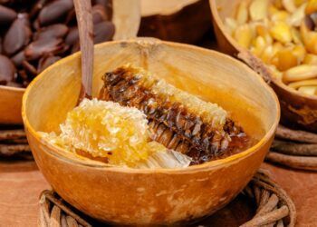 Celebran en Tulum la Importancia de la Abeja y sus Productos