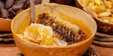 Celebran en Tulum la Importancia de la Abeja y sus Productos