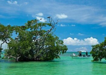 Tulum Refuerza su Promoción Turística para Atraer Viajeros Más Allá del Sol y la Playa
