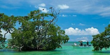 Tulum Refuerza su Promoción Turística para Atraer Viajeros Más Allá del Sol y la Playa