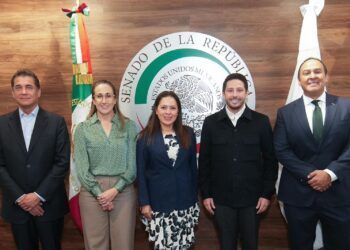Renán Sánchez Tajonar celebra desde el Senado la decisión de Claudia Sheinbaum de rechazar el cuarto muelle en Cozumel