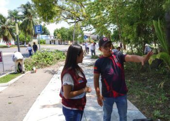 En su primera semana, el equipo de «Brigada Bahía» ha recolectado más de 45 toneladas de basura y residuos verdes en el Boulevard Bahía de Chetumal
