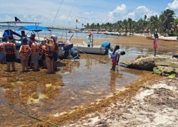 Akumal será sede del primer foro internacional sobre barreras contra el sargazo
