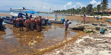 Akumal será sede del primer foro internacional sobre barreras contra el sargazo