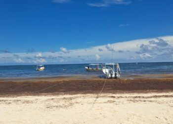 Crisis para lancheros de Tulum: denuncian desplome turístico tras cobro de acceso a playas públicas