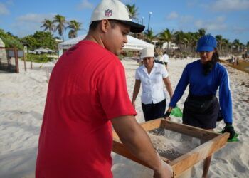 Cuidar la playa es proteger la vida marina: Fundación Eco-Bahía presenta resultados del Programa SAK en su tercer trimestre 2025