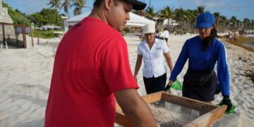 Cuidar la playa es proteger la vida marina: Fundación Eco-Bahía presenta resultados del Programa SAK en su tercer trimestre 2025