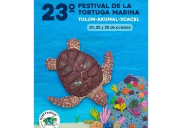 Tulum se alista para el 23º Festival de la Tortuga Marina