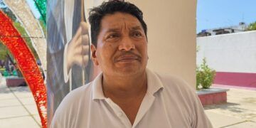 Productores de papaya en JMM enfrentan crisis por falta de planeación y apoyo técnico