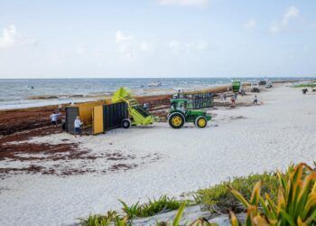 Factores Climáticos Reducen la Llegada de Sargazo a las Playas de Tulum