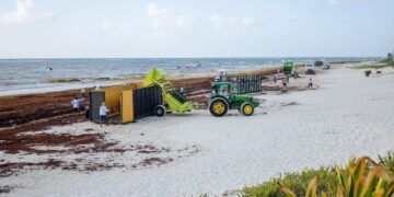 Factores Climáticos Reducen la Llegada de Sargazo a las Playas de Tulum