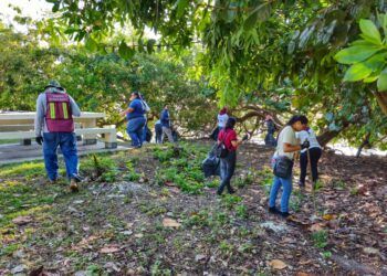 Retiran más de media tonelada de basura en el Boulevard Bahía de Chetumal