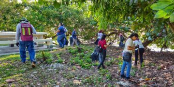 Retiran más de media tonelada de basura en el Boulevard Bahía de Chetumal