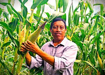 El “Arux” comparte la sabiduría del Xok k’iin maya en el 30 aniversario del College of the Atlantic