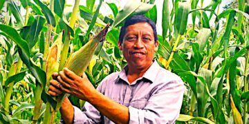 El “Arux” comparte la sabiduría del Xok k’iin maya en el 30 aniversario del College of the Atlantic