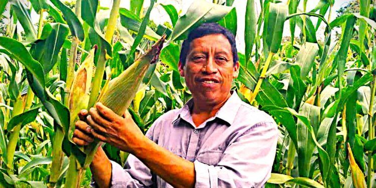 El “Arux” comparte la sabiduría del Xok k’iin maya en el 30 aniversario del College of the Atlantic