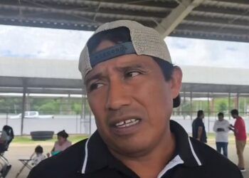 Plaga de tejones dispara el precio del camote en Othón P. Blanco