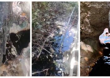 Vecinos denuncian vertido de aceite en la selva de Tulum