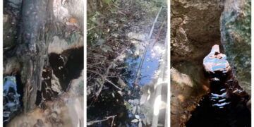 Vecinos denuncian vertido de aceite en la selva de Tulum