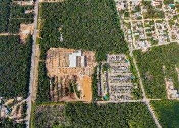 Vecinos denuncian tala de árboles en fraccionamiento Las Palmas para construcción de centro comercial