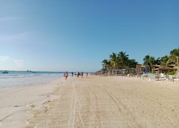 Playas de Tulum muestran recuperación tras semanas de recale de sargazo