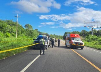 Hallan restos humanos en bolsas negras a un costado de la carretera federal 307 en Tulum