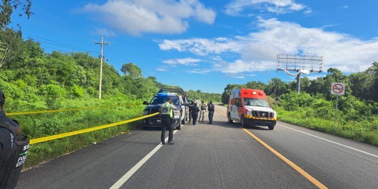 Hallan restos humanos en bolsas negras a un costado de la carretera federal 307 en Tulum
