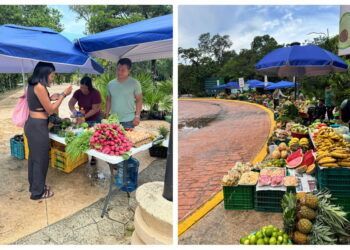 En medio de la crisis económica, surgen tianguis emergentes que impulsan a productores mayas en Tulum