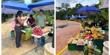 En medio de la crisis económica, surgen tianguis emergentes que impulsan a productores mayas en Tulum