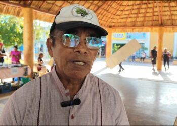 Plagas y falta de apoyo técnico agravan el abandono del campo morelense