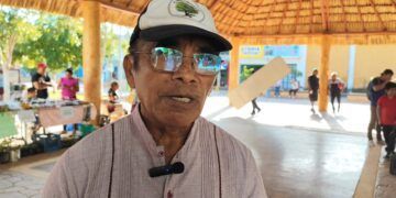 Plagas y falta de apoyo técnico agravan el abandono del campo morelense