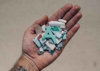 ¡Ojo con los microplásticos y bacterias! Así puedes proteger a tu familia del agua contaminada