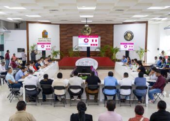 Playa del Carmen alerta sobre empresas clandestinas que instalan cableado en postes públicos; anuncian sanciones y mayor vigilancia