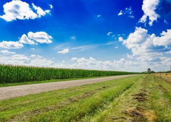 Grupo Bachoco reafirma su compromiso con el campo mexicano y los productores nacionales