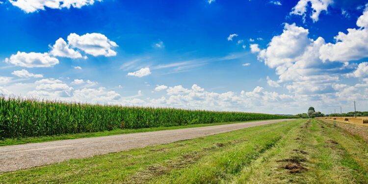 Grupo Bachoco reafirma su compromiso con el campo mexicano y los productores nacionales