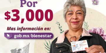 Del 18 al 21 de noviembre se realizará el primer pago de la Pensión Mujeres Bienestar: Ariadna Montiel