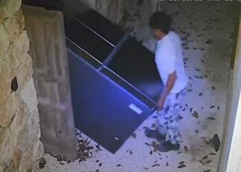 Una “mudanza” falsa dejó vacío un condominio en Tulum
