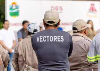Arranca jornada de eliminación de criaderos en Tulum