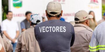 Arranca jornada de eliminación de criaderos en Tulum